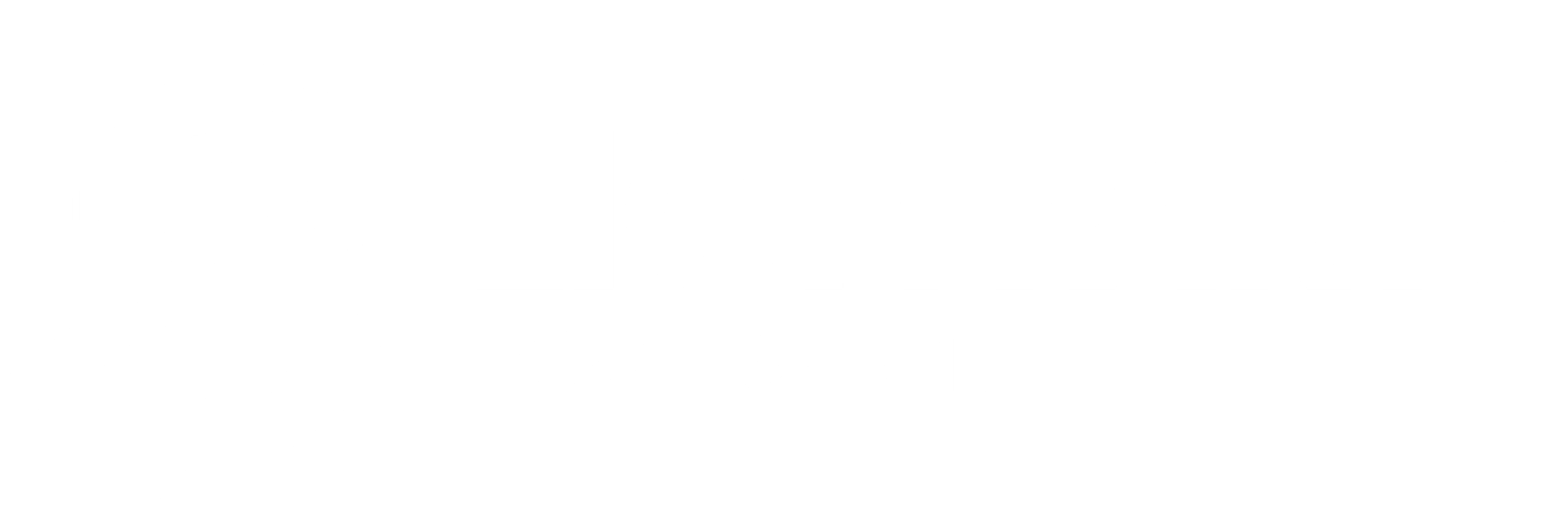 Lionparts B2C EU