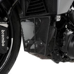 Downpipe Grille for the BMW F900 R '20-