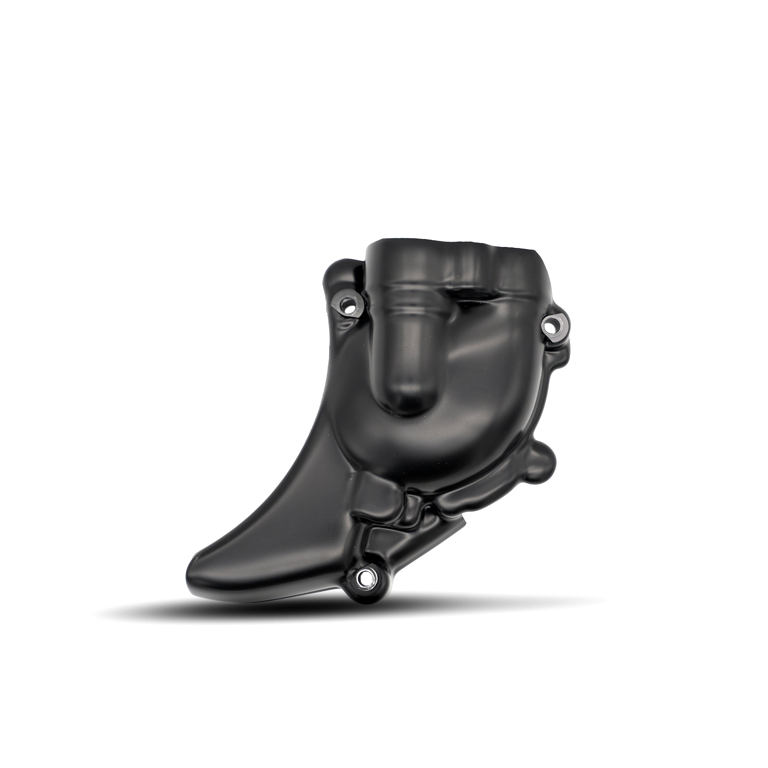 Engine Case Cover (RHS) Water Pump Cover