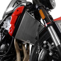 Radiator Guard for Triumph Trident 660 '21- & Triumph Tiger Sport 660 '22- '24