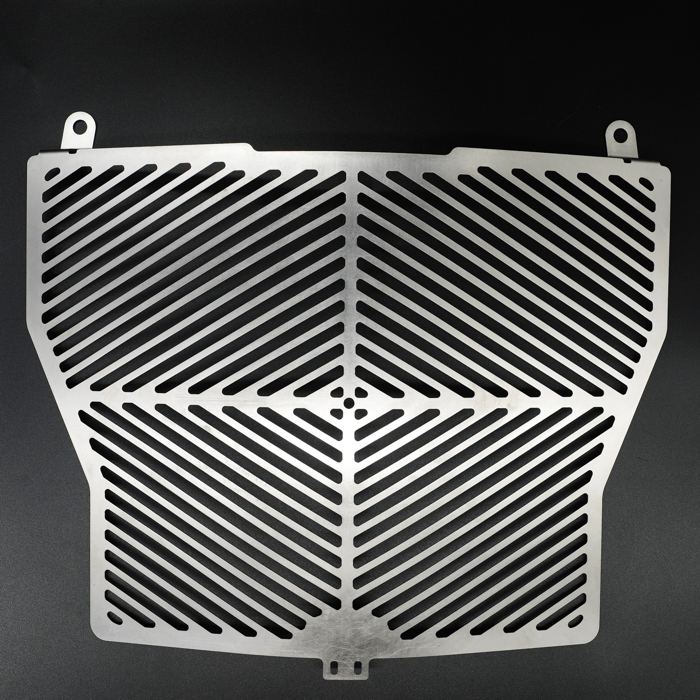 Stainless Steel Radiator Guard for the BMW S1000R '17-'20 models