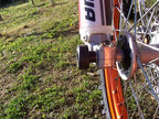 Fork Protectors