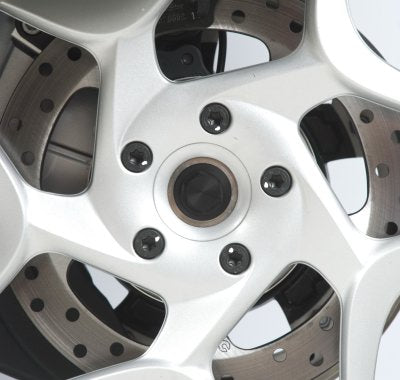 Swingarm Protectors for BMW F800GT F800ST '06-