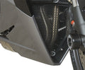 Downpipe Grille for Triumph Daytona 675 '13-'16