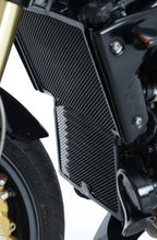 Radiator Guards for Triumph Speed Triple '05
