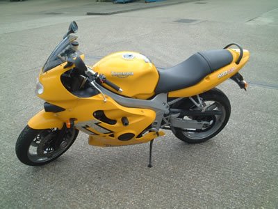 Crash Protectors - Classic Style for Triumph TT600