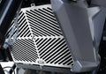 Stainless Steel Radiator Guard for Triumph Tiger 800 XCX & XRX '15- / XCA '18-